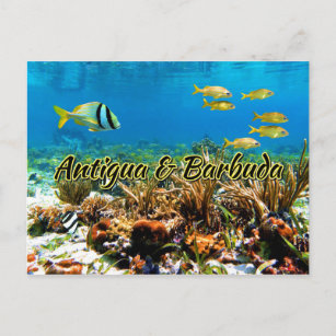 Carte Postale La barrière de corail d'Antigua-et-Barbuda