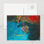 Carte Postale La barrière de corail de Cozumel (Devant / Derrière)