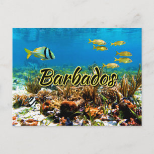 Carte Postale La barrière de corail de la Barbade