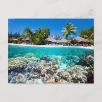 La barrière de corail et la station tropicale