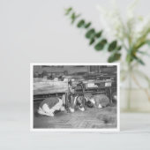 Carte Postale La Bataille D'Angleterre Et La Blitz : #5 Exercice (Debout devant)