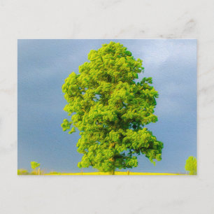 Carte Postale La beauté dans la tempête