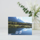 Carte Postale La beauté de la nature reflétée (Debout devant)