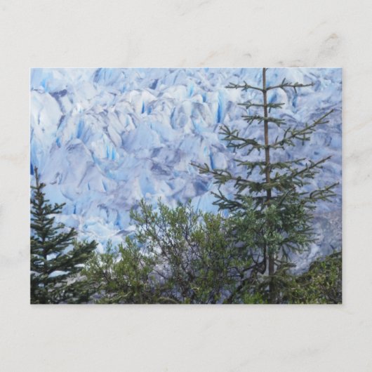 Carte Postale La beauté de l'Alaska (Devant)