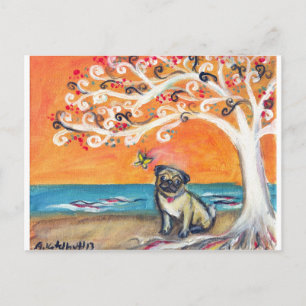 Carte Postale la beauté de l'orange