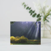 Carte Postale La beauté de Mère Nature (Debout devant)