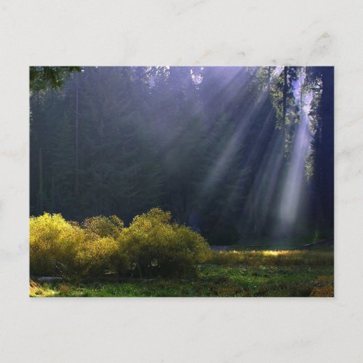 Carte Postale La beauté de Mère Nature (Devant)