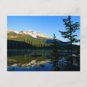 Carte Postale La beauté de Mère Nature