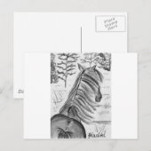 Carte Postale La beauté des chevaux n° 1 (Devant / Derrière)