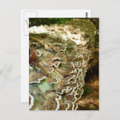 Carte Postale La beauté des petites choses (Devant / Derrière)