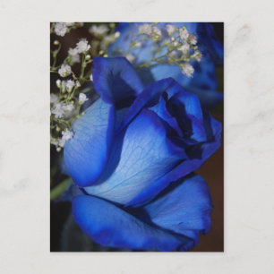 Carte Postale La Beauté Du Bleu