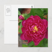 Carte Postale La Beauté Du Printemps (Devant / Derrière)