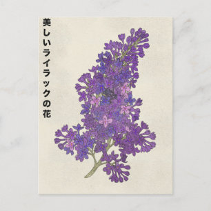 Carte Postale La Belle Fleur de Lilas