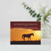 Carte Postale La Bible versets, un cheval au coucher du soleil (Debout devant)