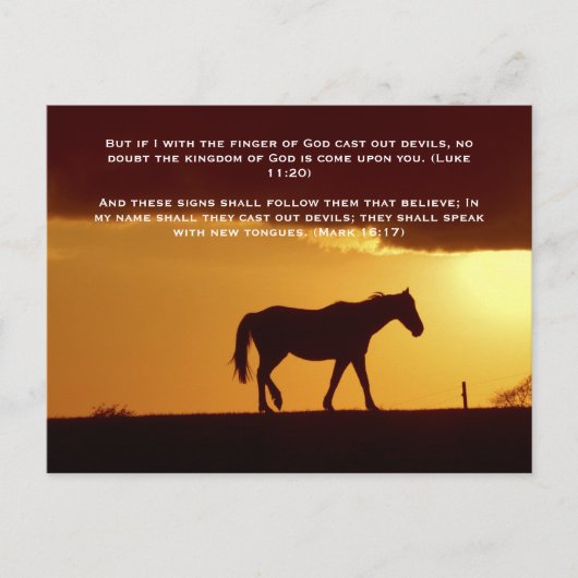Carte Postale La Bible versets, un cheval au coucher du soleil (Devant)
