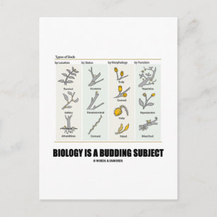 Carte Postale La Biologie Est Un Sujet De Budding (Types De Buds