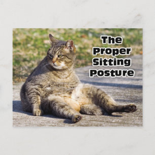 Carte Postale La bonne position assise