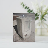 Carte Postale la boue émerge de l'hibernation (Debout devant)