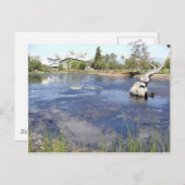 Carte Postale La Brea Tarpits Les Musées Des Étangs (Devant / Derrière)