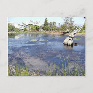 Carte Postale La Brea Tarpits Les Musées Des Étangs