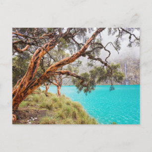 Carte Postale La bruma y el lago, Huaraz, Pérou.