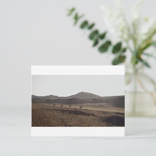 Carte Postale La caravane continue le déplacement (Debout devant)