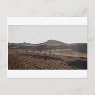 Carte Postale La caravane continue le déplacement