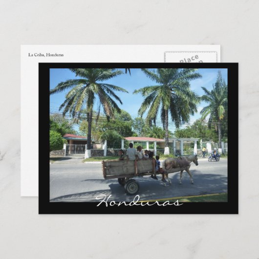 Carte Postale la ceiba (Devant / Derrière)