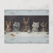 Carte Postale La célébration de la licence du chat (Devant)