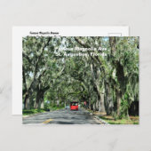 Carte Postale La célèbre avenue Magnolia (Devant / Derrière)