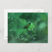 Carte Postale La Chanson (Devant / Derrière)