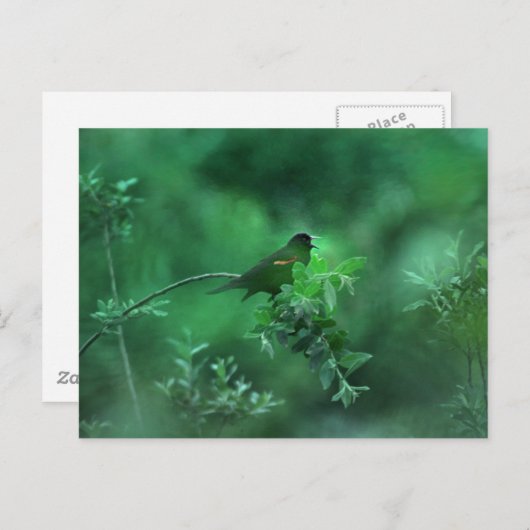 Carte Postale La Chanson (Devant / Derrière)