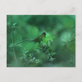 Carte Postale La Chanson (Devant)