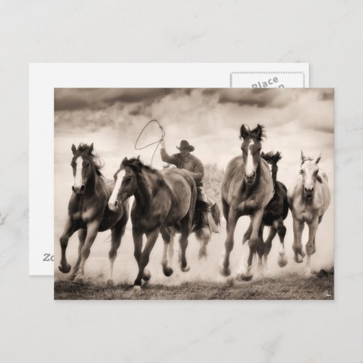 Carte Postale La Chase I (Devant / Derrière)