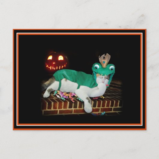 Carte Postale La chatte d'Halloween se procure les marchandises (Devant)