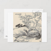 Carte Postale La chauve-souris et le vison (Devant / Derrière)