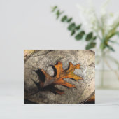 CARTE POSTALE LA CHUTE (Debout devant)