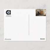 CARTE POSTALE LA CHUTE (Dos)