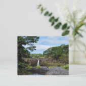 Carte Postale la chute de wai'ale dans le parc national du fleuv (Debout devant)