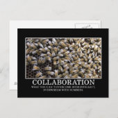 Carte Postale La collaboration améliore vos chances de succès (Devant / Derrière)