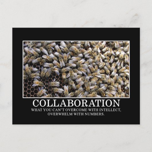 Carte Postale La collaboration améliore vos chances de succès (Devant)