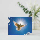 Carte Postale La colombe au soleil (Debout devant)