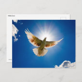 Carte Postale La colombe au soleil (Devant / Derrière)