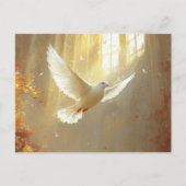 Carte Postale La colombe blanche dans la peinture légère (Devant)