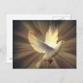 Carte Postale La colombe de la paix. (Devant / Derrière)