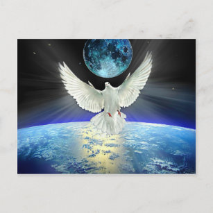 Carte Postale La colombe de la paix au-dessus de la planète L'au