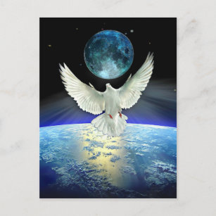 Carte Postale La colombe de la paix sur la planète Terre