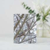 Carte Postale La colombe en deuil (Debout devant)