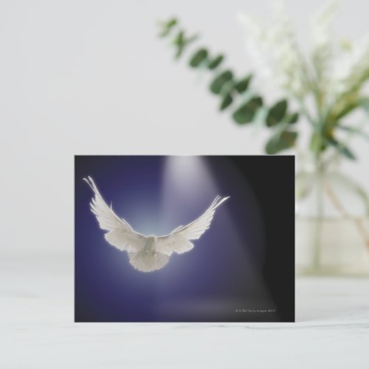 Carte Postale La colombe survolant le rayon de lumière (Debout devant)