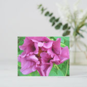 Carte Postale La conception florale de Stacey (Debout devant)